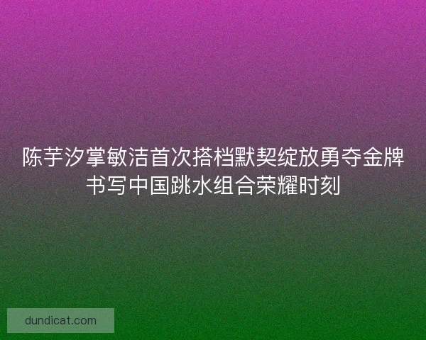 陈芋汐掌敏洁首次搭档默契绽放勇夺金牌书写中国跳水组合荣耀时刻