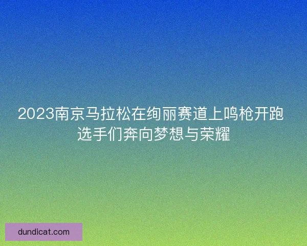 2023南京马拉松在绚丽赛道上鸣枪开跑 选手们奔向梦想与荣耀