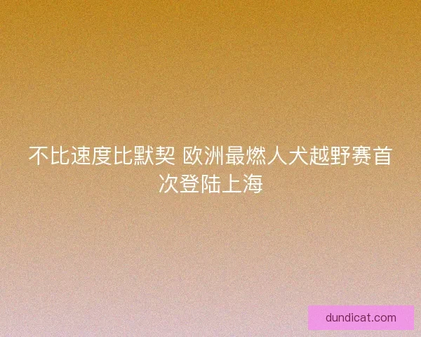 不比速度比默契 欧洲最燃人犬越野赛首次登陆上海