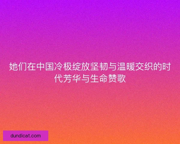 她们在中国冷极绽放坚韧与温暖交织的时代芳华与生命赞歌 她们在中国冷极绽放坚韧与温暖交织的时代芳华与生命赞歌